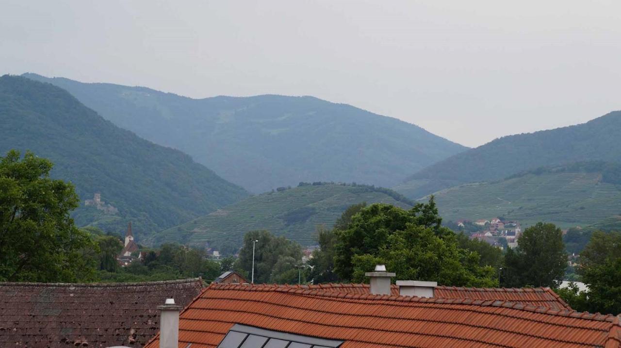 Mitterarnsdorf Weingut & Gaestezimmer Pammer المظهر الخارجي الصورة
