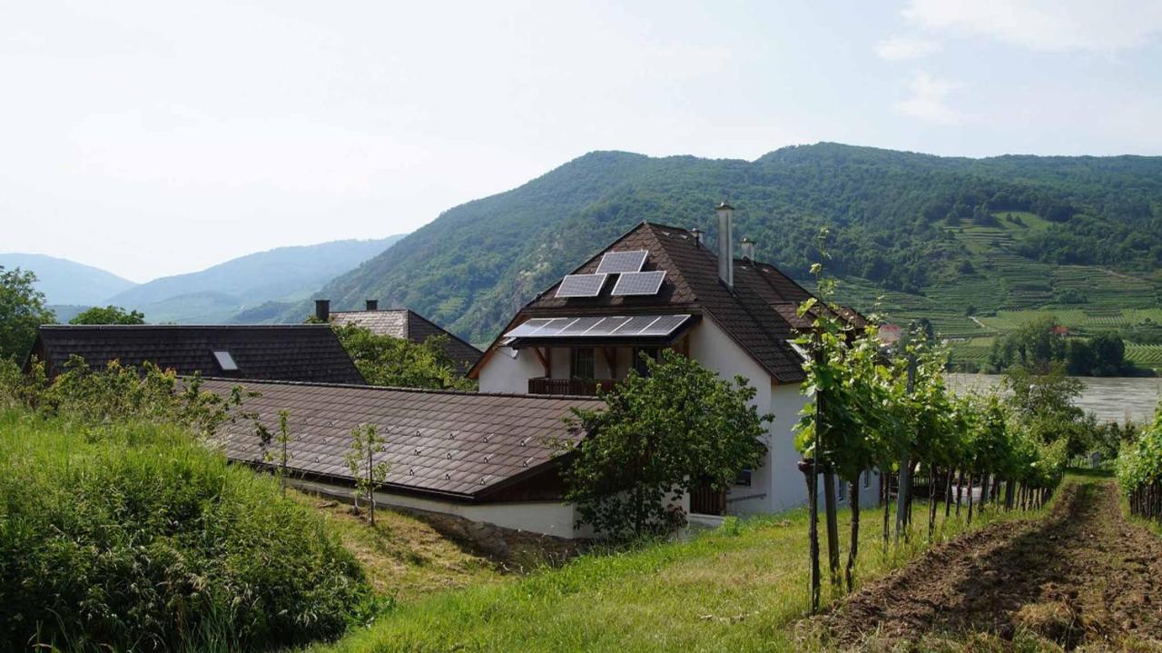Mitterarnsdorf Weingut & Gaestezimmer Pammer المظهر الخارجي الصورة