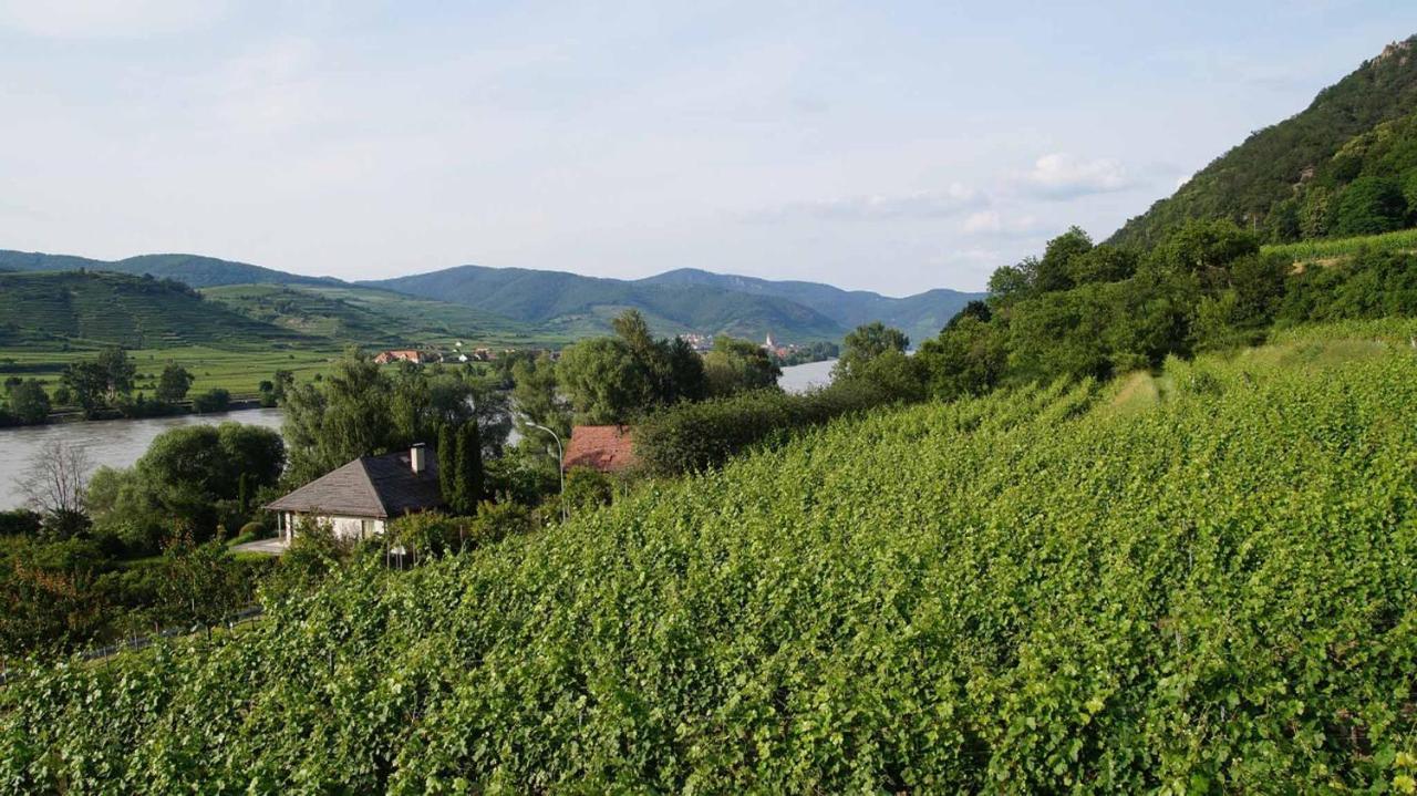 Mitterarnsdorf Weingut & Gaestezimmer Pammer المظهر الخارجي الصورة